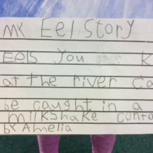 Eels you know at the river can be caught in a plastic milkshake container. By Amelia